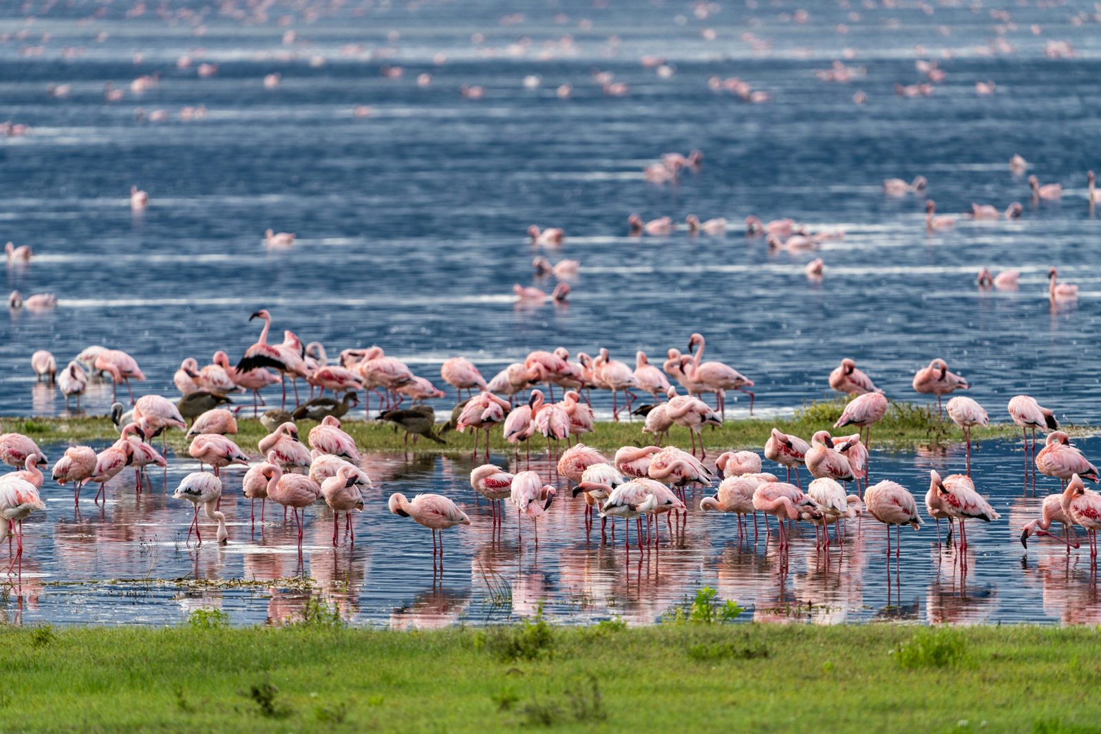 Safari photograph from Tanzania