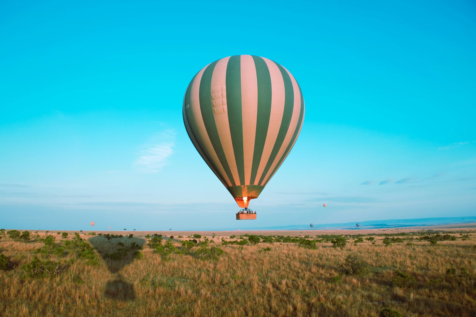 Safari photograph from Tanzania
