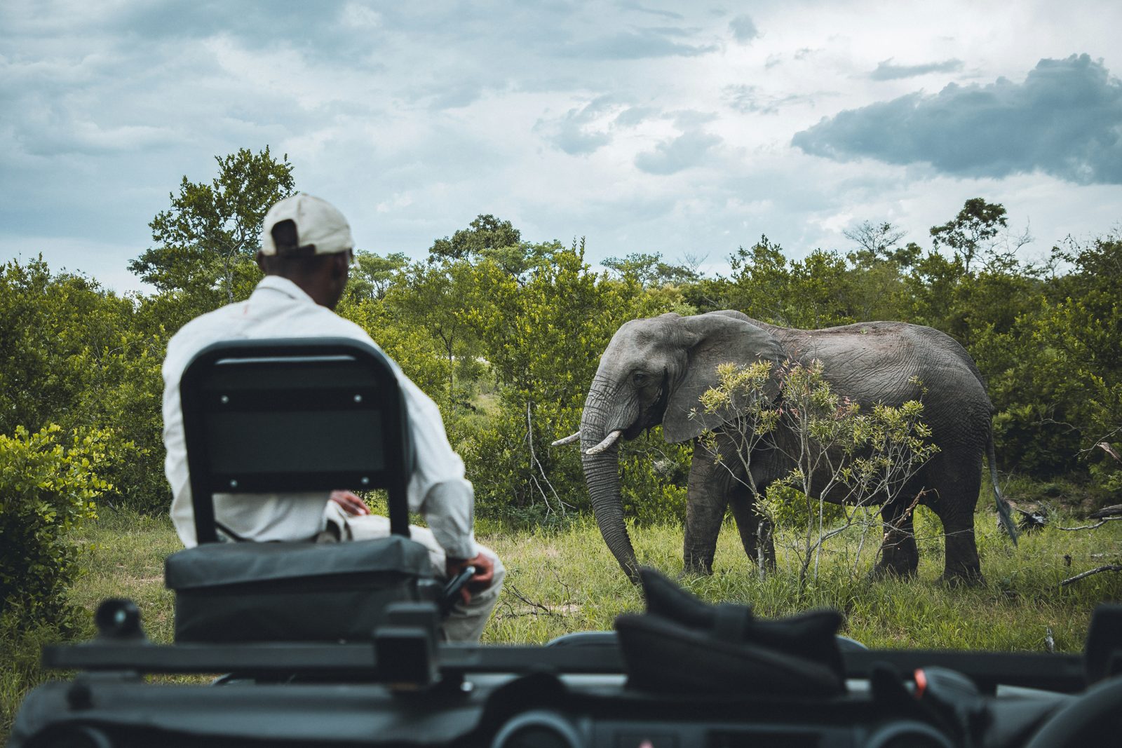 Safari photograph from Tanzania