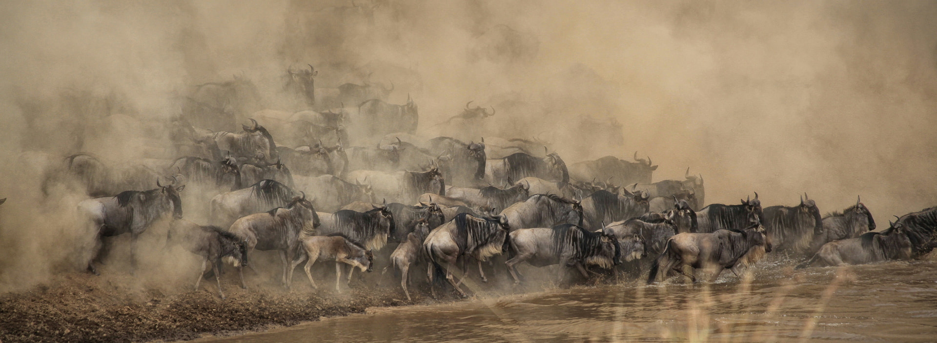 7-Day Great Calving Safari