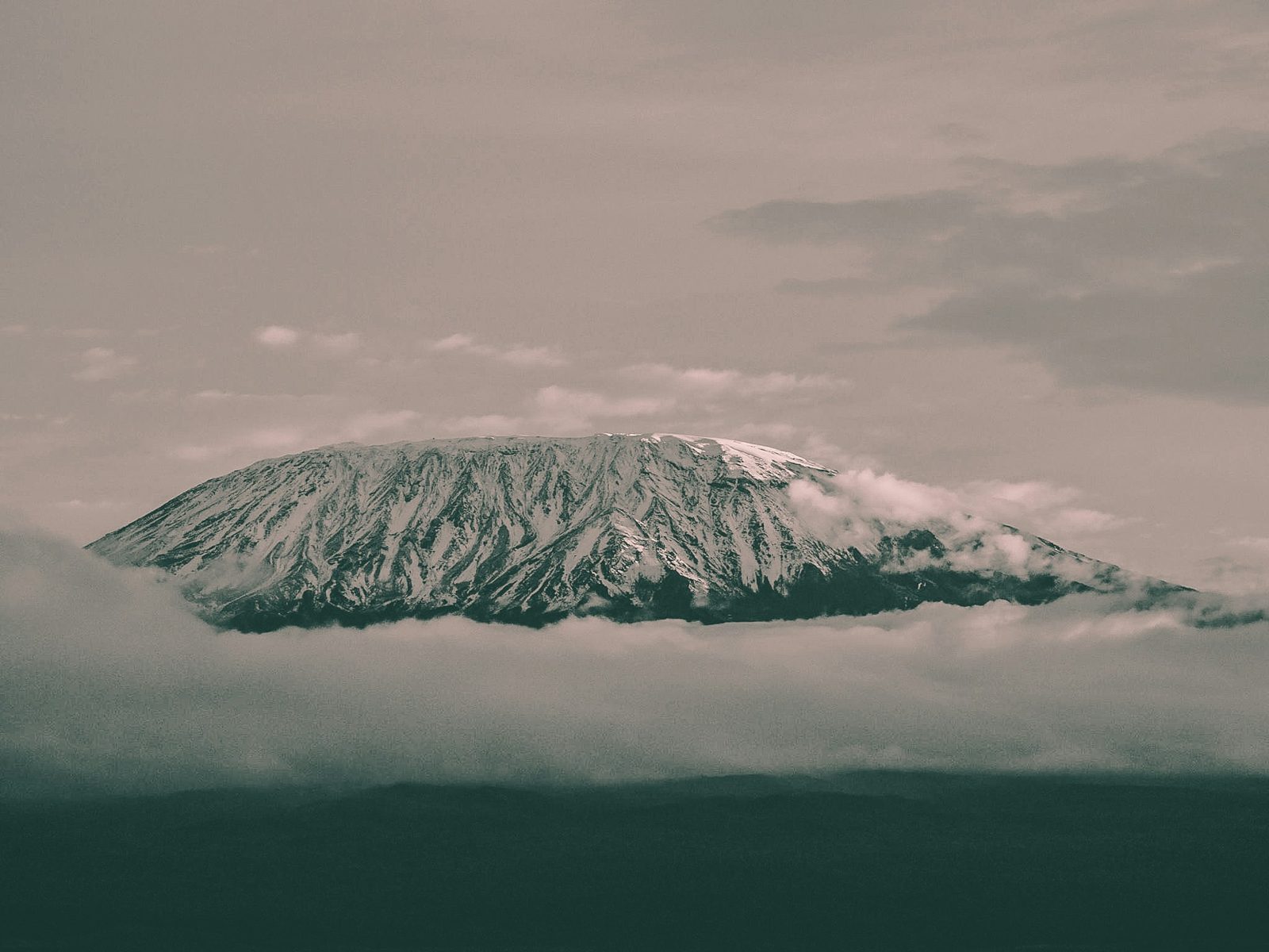 Safari photograph from Tanzania