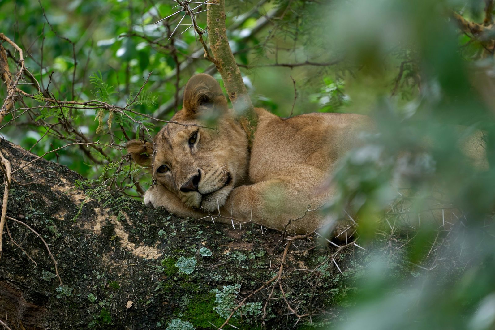 10 Hidden Gems in Northern Tanzania Most Safaris Skip