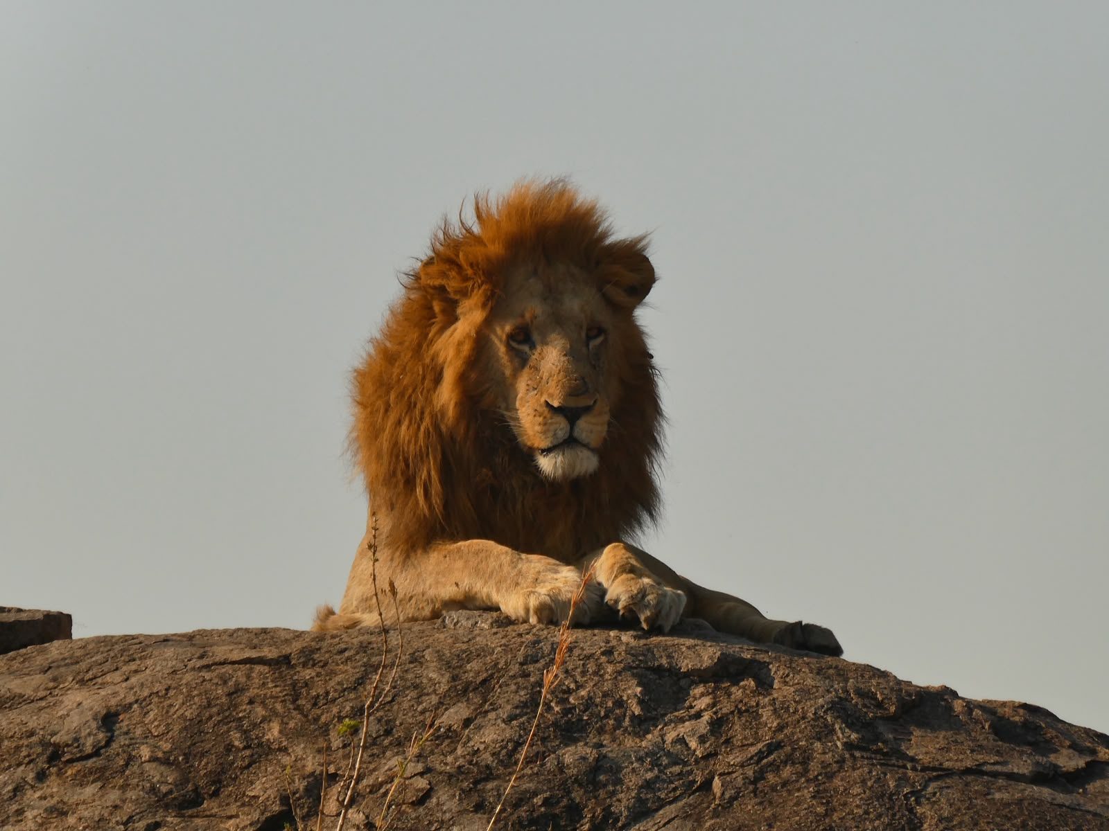 Serengeti National Park